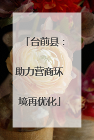 台前县：助力营商环境再优化