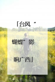 台风“蝴蝶”影响广西
