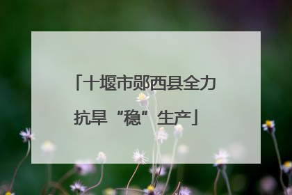 十堰市郧西县全力抗旱“稳”生产