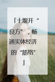 十堰开“良方”，畅通实体经济的“筋络”