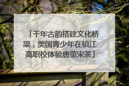 千年古韵搭建文化桥梁，美国青少年在镇江高职校体验唐菓宋茶