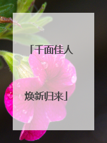 千面佳人焕新归来