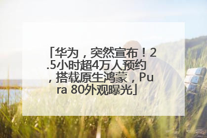 华为，突然宣布！2.5小时超4万人预约，搭载原生鸿蒙，Pura 80外观曝光