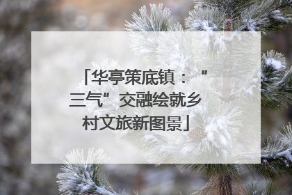华亭策底镇：“三气”交融绘就乡村文旅新图景