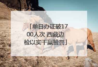 单日办证破1700人次 西藏边检以实干赢赞誉