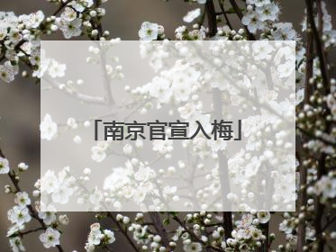 南京官宣入梅