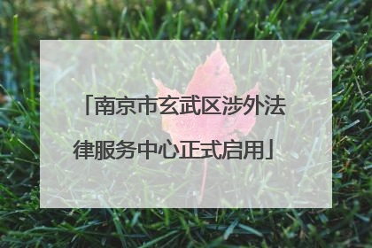 南京市玄武区涉外法律服务中心正式启用