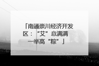 南通崇川经济开发区：“艾”意满满 一举高“粽”