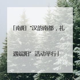 南阳“汉韵南都，礼遇端阳”活动举行