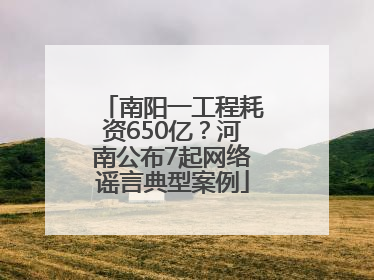 南阳一工程耗资650亿？河南公布7起网络谣言典型案例