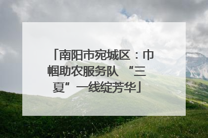 南阳市宛城区：巾帼助农服务队 “三夏”一线绽芳华