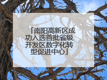 南阳高新区成功入选首批省级开发区数字化转型促进中心