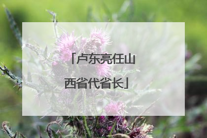 卢东亮任山西省代省长