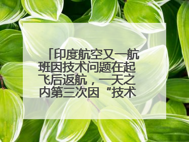 印度航空又一航班因技术问题在起飞后返航，一天之内第三次因“技术问题”返航