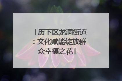 历下区龙洞街道：文化赋能绽放群众幸福之花