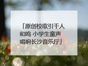原创校歌引千人和鸣 小学生童声唱响长沙音乐厅