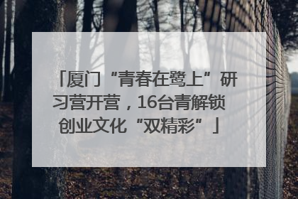 厦门“青春在鹭上”研习营开营，16台青解锁创业文化“双精彩”