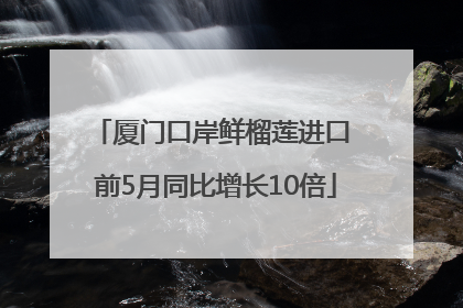 厦门口岸鲜榴莲进口 前5月同比增长10倍