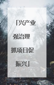 兴产业强治理 抓项目促振兴