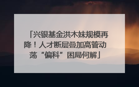 兴银基金洪木妹规模再降！人才断层叠加高管动荡“偏科”困局何解