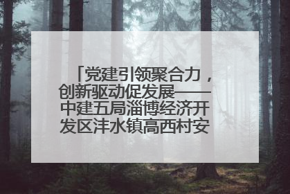 党建引领聚合力，创新驱动促发展——中建五局淄博经济开发区沣水镇高西村安置项目建设纪实