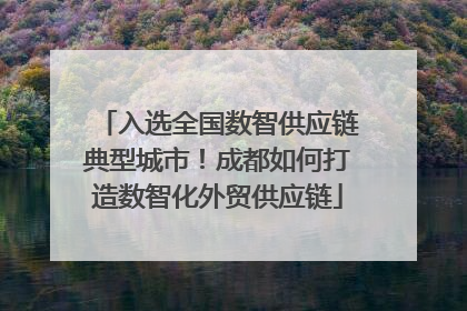 入选全国数智供应链典型城市！成都如何打造数智化外贸供应链