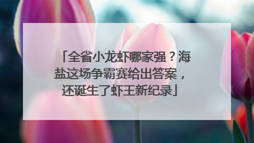 全省小龙虾哪家强？海盐这场争霸赛给出答案，还诞生了虾王新纪录