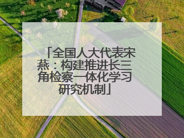 全国人大代表宋燕：构建推进长三角检察一体化学习研究机制
