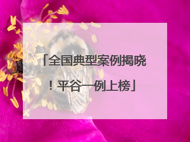 全国典型案例揭晓！平谷一例上榜