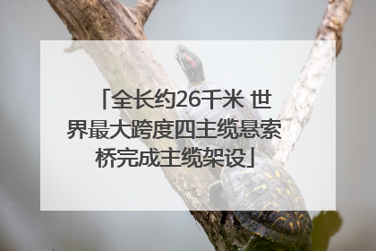 全长约26千米 世界最大跨度四主缆悬索桥完成主缆架设