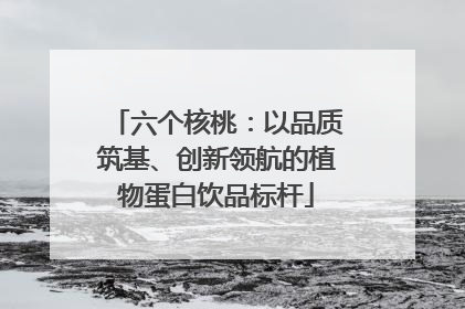 六个核桃：以品质筑基、创新领航的植物蛋白饮品标杆