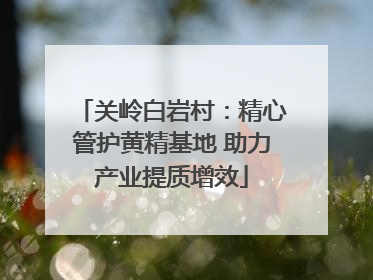 关岭白岩村：精心管护黄精基地 助力产业提质增效