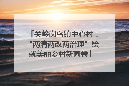 关岭岗乌镇中心村：“两清两改两治理”绘就美丽乡村新画卷