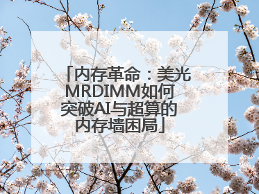 内存革命：美光MRDIMM如何突破AI与超算的内存墙困局