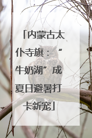内蒙古太仆寺旗：“牛奶湖”成夏日避暑打卡新宠