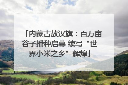 内蒙古敖汉旗：百万亩谷子播种启幕 续写“世界小米之乡”辉煌