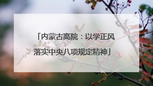 内蒙古高院：以学正风落实中央八项规定精神