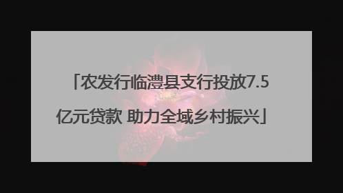 农发行临澧县支行投放7.5亿元贷款 助力全域乡村振兴