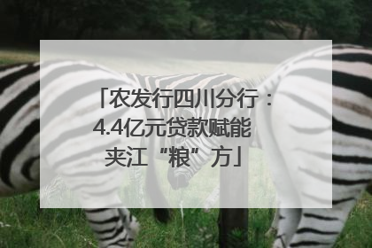 农发行四川分行：4.4亿元贷款赋能夹江“粮”方