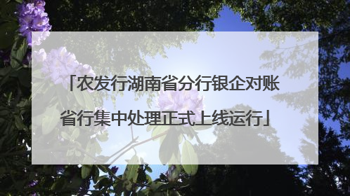 农发行湖南省分行银企对账省行集中处理正式上线运行