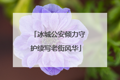 冰城公安倾力守护续写老街风华