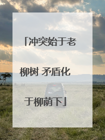 冲突始于老柳树 矛盾化于柳荫下