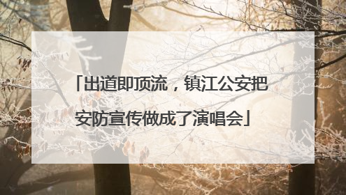 出道即顶流，镇江公安把安防宣传做成了演唱会