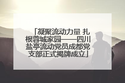 凝聚流动力量 扎根蓉城家园——四川盐亭流动党员成都党支部正式揭牌成立