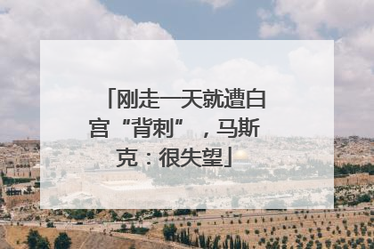 刚走一天就遭白宫“背刺”，马斯克：很失望