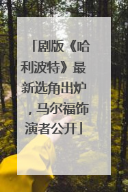 剧版《哈利波特》最新选角出炉，马尔福饰演者公开