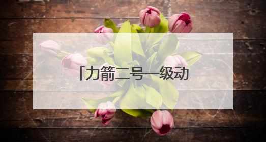 力箭二号一级动力系统试车成功！首飞将发射轻舟初样试飞船