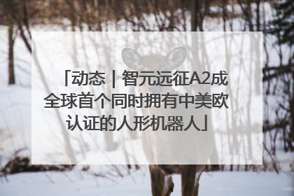 动态｜智元远征A2成全球首个同时拥有中美欧认证的人形机器人