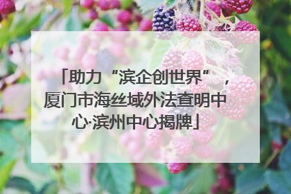 助力“滨企创世界”，厦门市海丝域外法查明中心·滨州中心揭牌