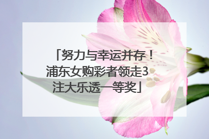 努力与幸运并存！浦东女购彩者领走3注大乐透一等奖